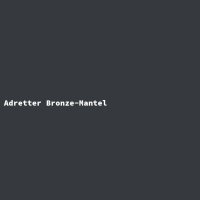 Adretter Bronze-Mantel